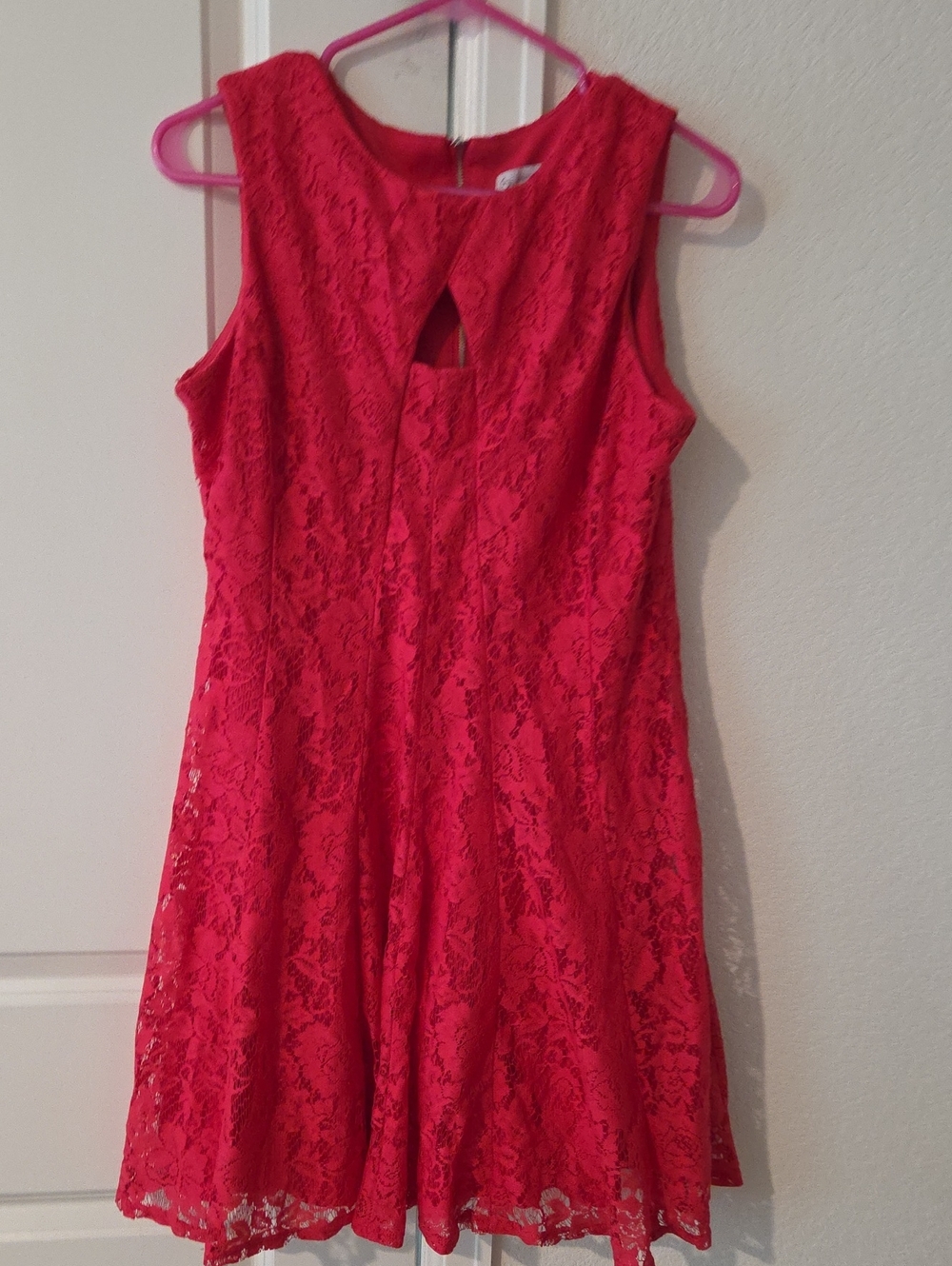 Red Lace Fit & Flare Mini Dress